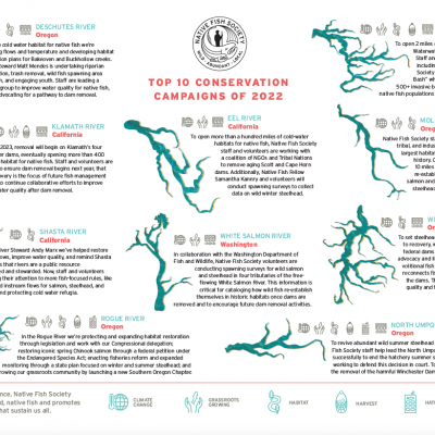 Top 10 Conservation Campaigns of 2022 by River