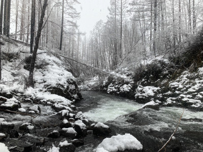 Confluence of Ogle Creek and mainstem Molalla post 2020 fire on a snowy winter day / Liz Perkin