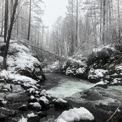 Confluence of Ogle Creek and mainstem Molalla post 2020 fire on a snowy winter day / Liz Perkin